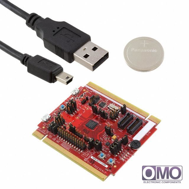 TWR-K21F100M
